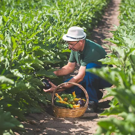 & Le Dune Resort Badesi