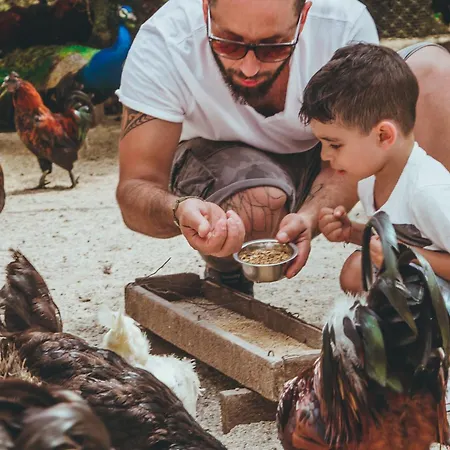 Resort & Le Dune Badesi