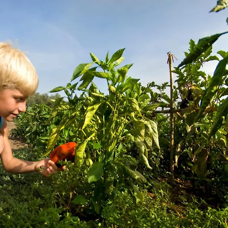 & Le Dune Курортный комплекс