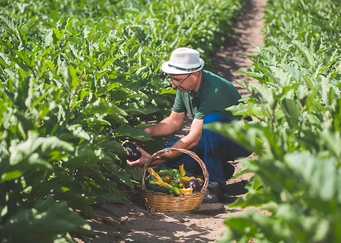 & Le Dune Feriested Badesi
