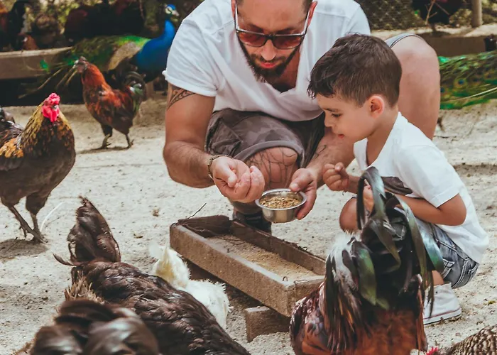 Feriested & Le Dune Badesi